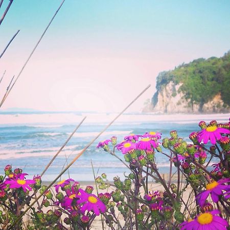 Estuary Retreat 황가마타 외부 사진